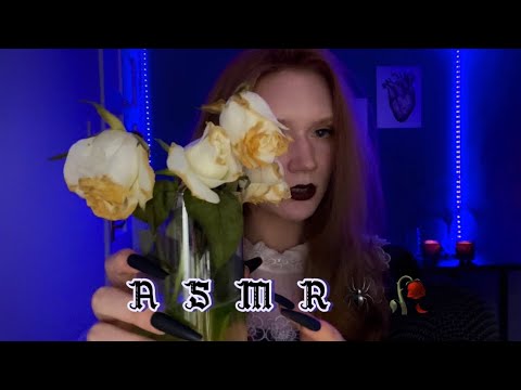 ASMR🕷️“I’m not Morticia Addams” [bug searching,mic scratching,nail tapping]