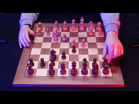 Who Is The Best Chess Player Of All Time? 2020 Kasparov vs. Magnus Carlsen ♔ ASMR