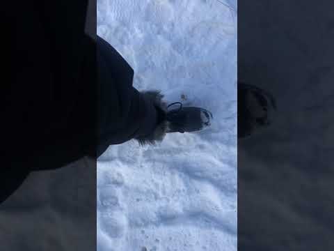 ASMR walking city sounds winter snow boots francais Canada