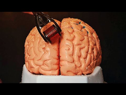 Ready for a brain massage? [ASMR]