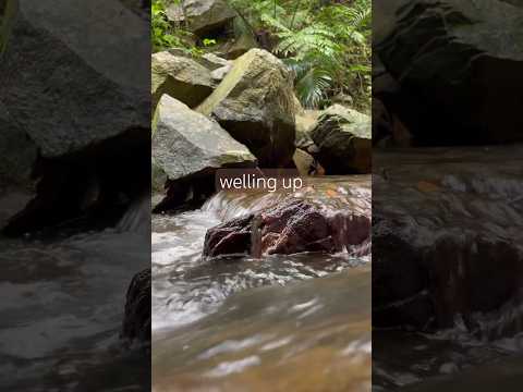 Peaceful Japanese River and Scripture Reading #christianasmr #biblerelaxation