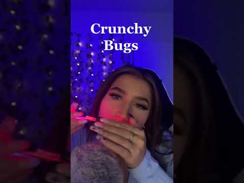 Crunchy Bugs ASMR 😳🪲🪰