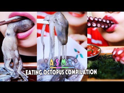 ASMR EATING OCTOPUS compilation New 2018 | LINH-ASMR