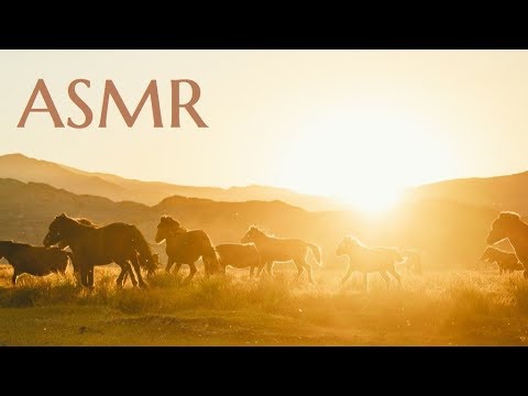 ASMR - History of Genghis Khan and the Mongols (2 hrs+ sleep story)