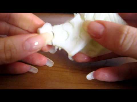 a little of ASMR: Nails-resistance with fennel - (video 26bis)