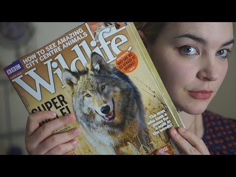 ASMR Wildlife Magazine Page Flipping and Brushing [Binaural]