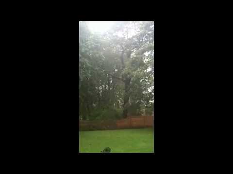 Rain Sounds During Hurricane Irene