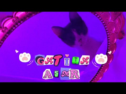 Mi gatita hace ASMR para ti | Ronroneos relajantes 💗 | Andrea ASMR 🦋