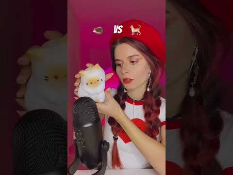ASMR Triggers Battle  🦔 VS 🐈 which one wins?