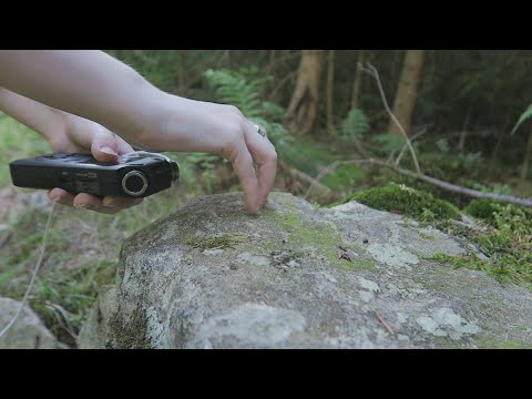 [ASMR] Come With Me In The Woods🍃