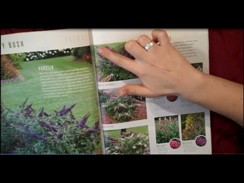 ASMR Whispered Plant Catalog Tour | Page Turning, Ramble, Tracing