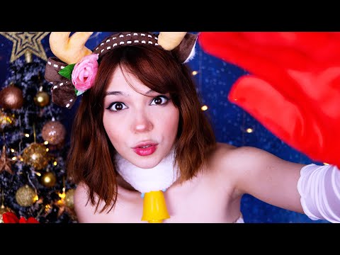 ASMR 🦌 Ear and Face Attention 🎄 massage, touching, tapping...