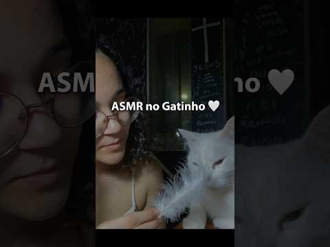 ASMR no gatinho 🤍 #asmr #asmrsounds #relaxing #gato #relaxationsounds #sleepsounds