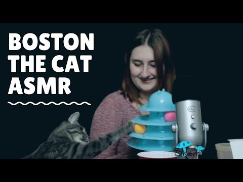 Guest Star ASMR Intro to Boston the Cat!