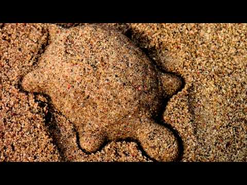 (3D binaural sound) Asmr wet sand
