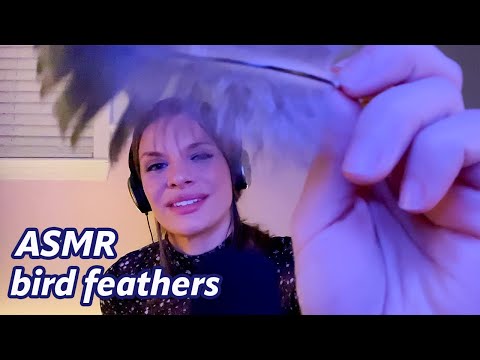 ASMR Brushing Your Face with Bird Feathers (soft spoken)