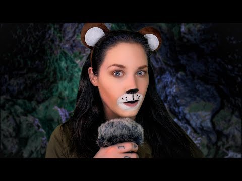 ASMR Roleplay | Adventure Amy Reporting from the Bear Den 🐻