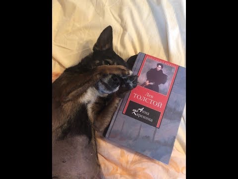 ASMR Reading to You in Russian (with my dog xD) | АСМР Чтение Шёпотом