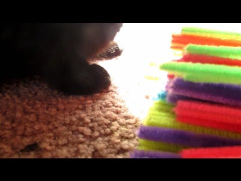 ASMR. Sorting Pipe Cleaners for Relaxation (Pure Sounds)