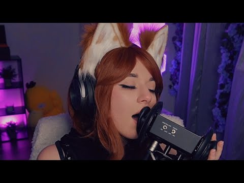 1 Hour ASMR | 😽 Kitty Cat Licking, Purring and Rawrs 😽
