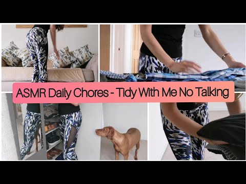 ASMR Household Daily Chores - Tidy With Me No Talking
