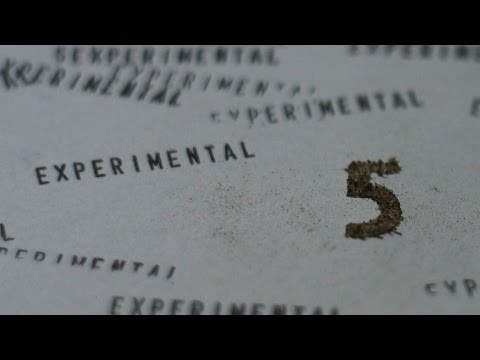 Experimental 05. ASMR