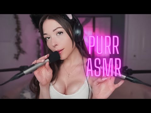 Deep and Soothing Purring ASMR + assorted Triggers for Guaranteed Sleep
