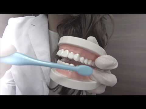 【音フェチ】Dental checkup Role play〜歯科医ロールプレイ 【ASMR】Japanese ASMR