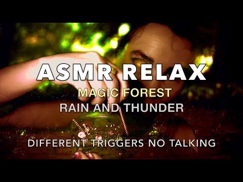 ⛈🌲Forest Rain and Thunder  | Tapping | Kissing Mouth Sounds | Scratching (No Talking)