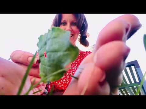 ASMR Bare feet gentle moving in grass tickles