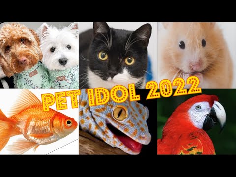 Viewers PET IDOL CONTEST 2022 Announcement !!!! Want to nominate YOUR PET?  (not an ASMR video! )