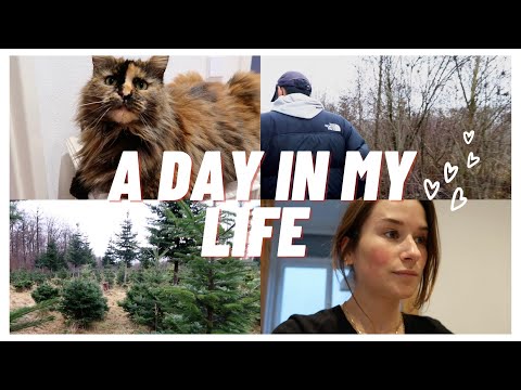 Asmr deutsch | A Day In My Life 🍉 Vlog (Christmas Edition) Baum Kaufen Mit Family Voice Over german