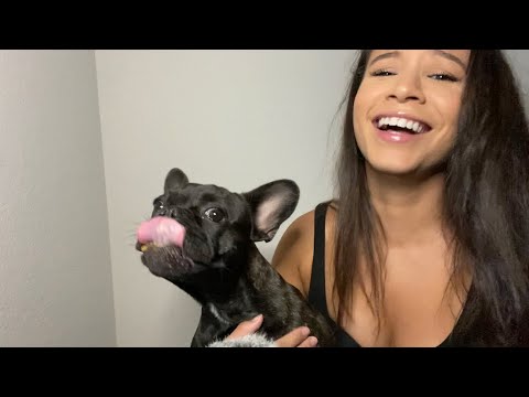 ASMR | Puppy Eating ASMR
