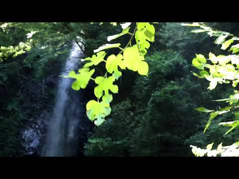 【ASMR】[無言] 滝や自然の音 waterfall & natural sounds