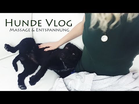 ASMR Massage & Entspannung ♥ Leben wie Pep Guardiola (Hunde Vlog, Flüstern + sanfte Stimme)