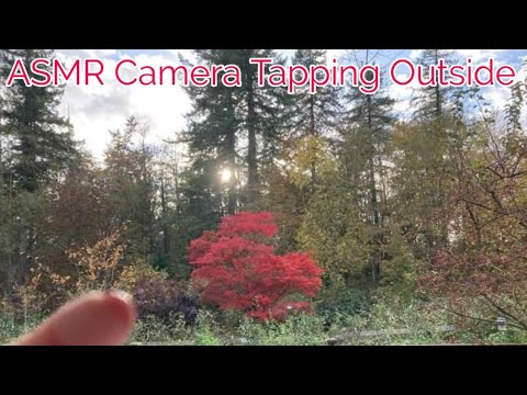 ASMR Fast Camera Tapping-No Talking After Intro (Lo-fi)