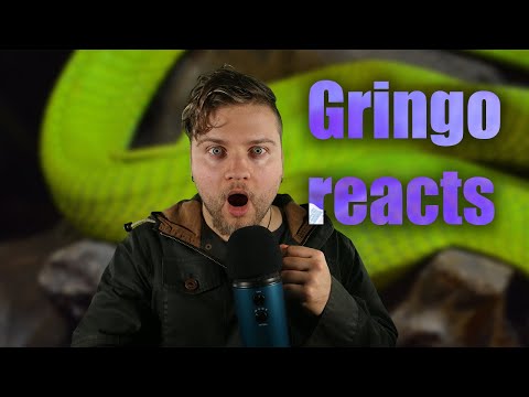 Whispering facts about Snake Island in Brazil! (ASMR) - Gringo reacts to Ilha da Queimada Grande