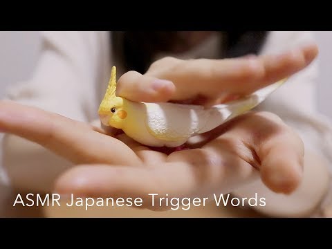 [ASMR] 日本語オノマトペを両耳で囁く Japanese Trigger Words, Whispering, Hand Movement