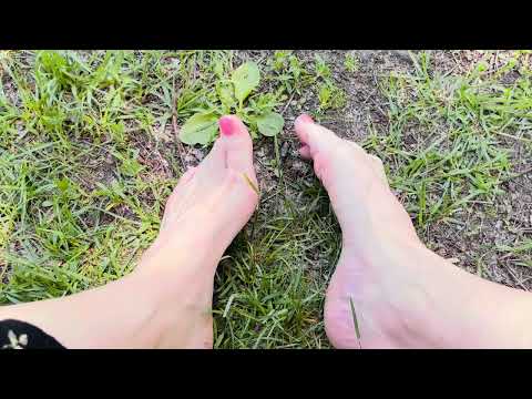 ASMR bare feet playing in Grass