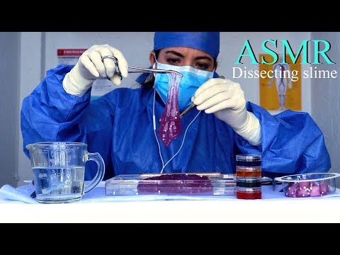 *** {ASMR dissecting slime} ***