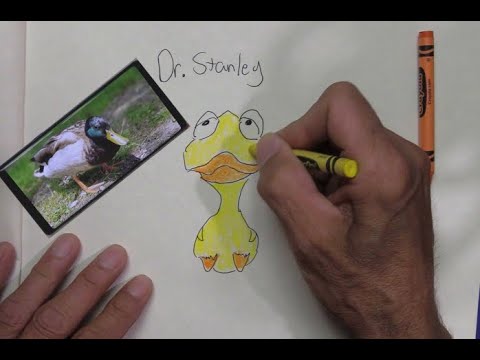 Drawn Explanation Of Duck Rescue By Vinny ASMR