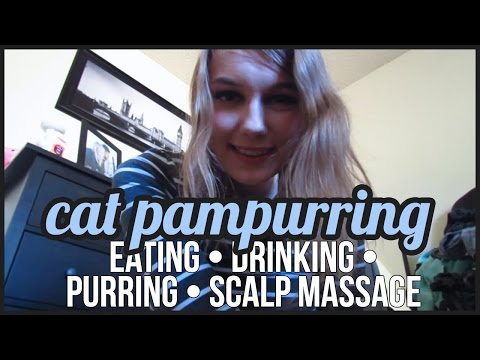 [BINAURAL ASMR] Cat Pampurring (eating, drinking, brushing, scalp massage, purring)