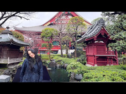 ASMR - Japan - Tokyo, Kyoto, Osaka Travel Vlog - LoFi Part 2