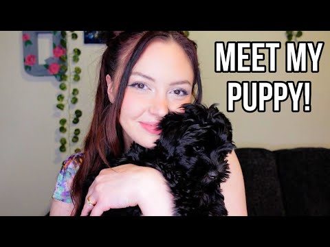 Puppy ASMR! Petting, Scratches, Whispers