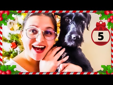 ASMR FRANÇAIS│Déclencheurs Inattendus 🤪! FRISSONS GARANTIS !! Unexpected Sounds ! (+ Visuel)