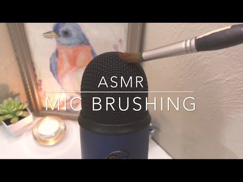 Blue Yeti Mic Brushing ASMR