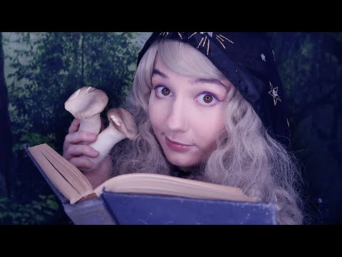 ASMR Ophelia the Witch Brews a Potion (Meeting for the First Time) | Layered Sounds, Fireside Nap