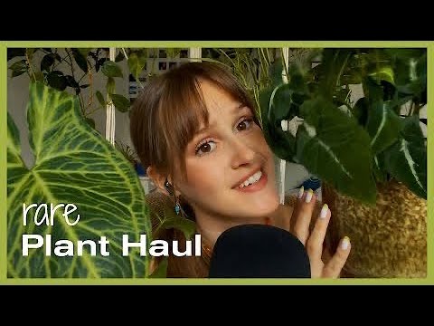 ASMR 🌿 Meine neuen Pflanzen 🌿 Plant Haul [german whispered | deutsch]