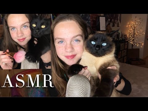 My CATS try ASMR *RELAXING