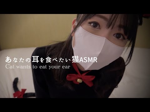 ASMR |あなたの耳を食べさせてください♡耳はむ,耳ふー,咀嚼音ASMR🐈 | 黒3dio | Deep Sleep ASMR